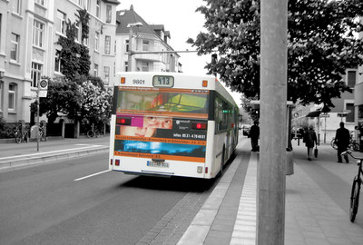 Rubensfestival Braunschweig Heckflächengestaltung für Linienbusse