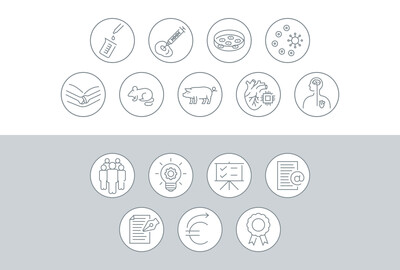 Icons für Broschüre 