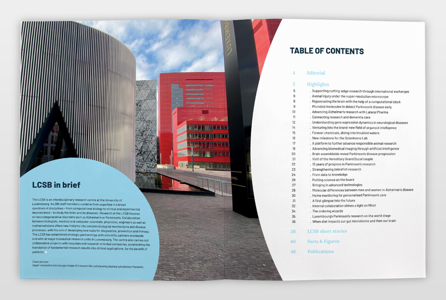Highlights 2025 Innenseiten