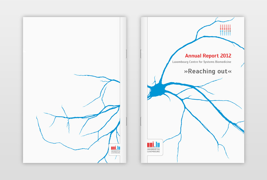 Annual Report 2012 Umschlag (Veredelung: UV-Lack und Relieflack)