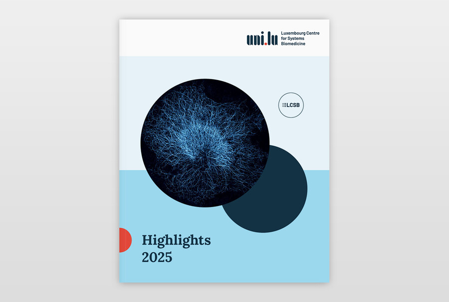 Highlights 2025 Titelseite (Veredelung: Relieflack)